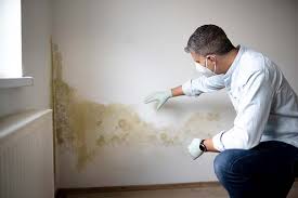 Mold Documentation for Insurance Claims in Wilsons Mills, NC